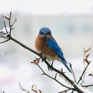 Meet your Posher, Jane